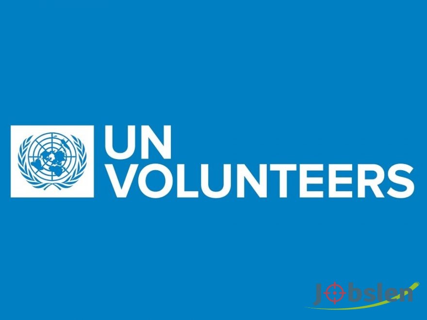 منظمة الامم المتحدة للتطوع يوفر فرص تطوع مدفوعة الأجر