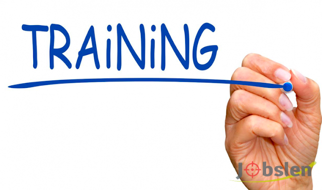 فرصة تدريب مصمم وسائل التواصل الاجتماعي ومطور واجهة المستخدم